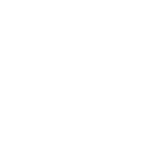 Executives